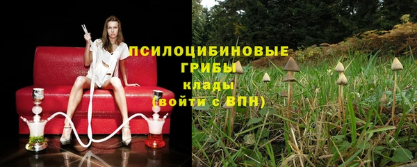 jwh Алзамай