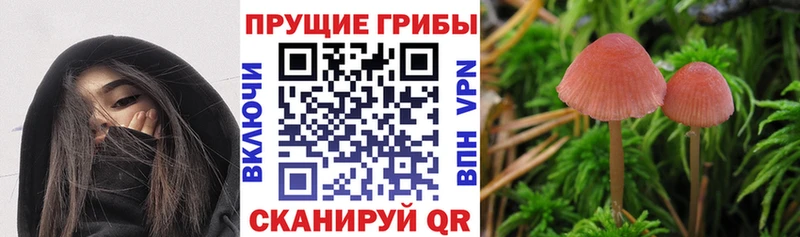 что такое наркотик Красноуфимск Галлюциногенные грибы мицелий